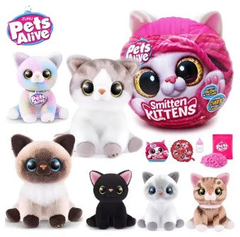 Pets Alive Smitten Kittens