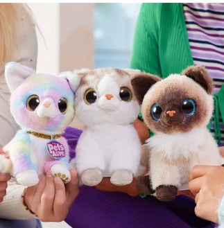 Pets Alive Smitten Kittens