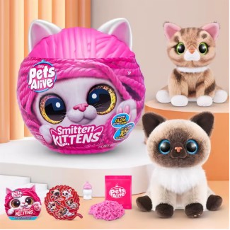 Pets Alive Smitten Kittens