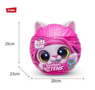 Pets Alive Smitten Kittens